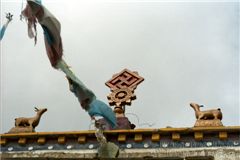 Олени, Дхармачакра, обратная Свастика - храм Бон По.