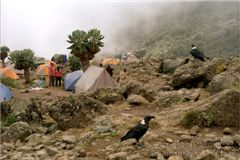 Лагерь Барранко (3850 м).