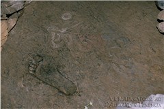 Отпечаток ноги Миларепы в камне